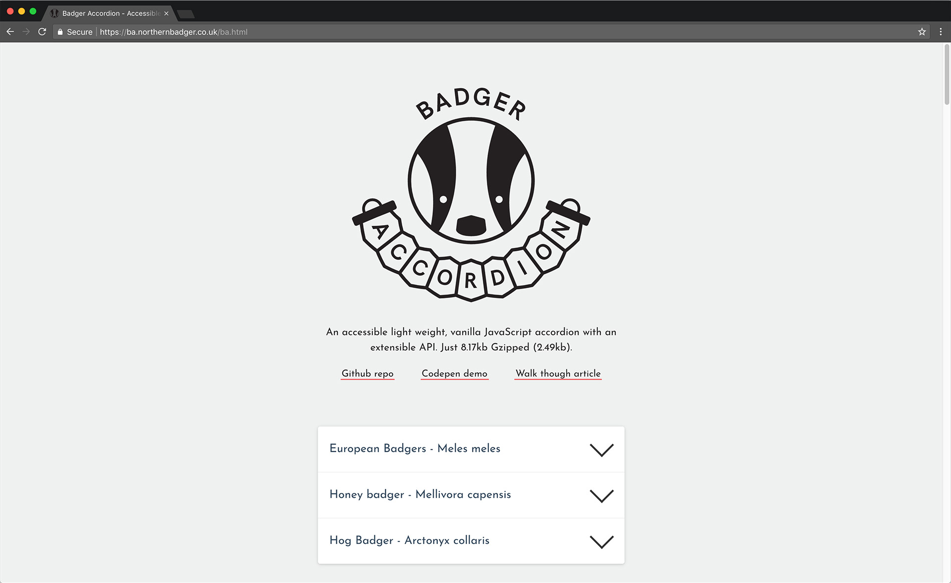 A screenshot of Badger Accordion demo site